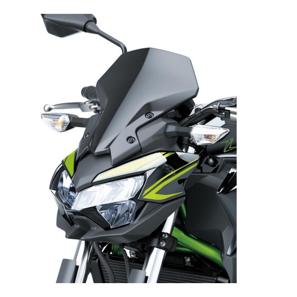 Kawasaki Meter cover large (Smoke windshield)